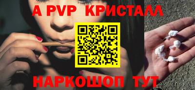 стаф Будённовск