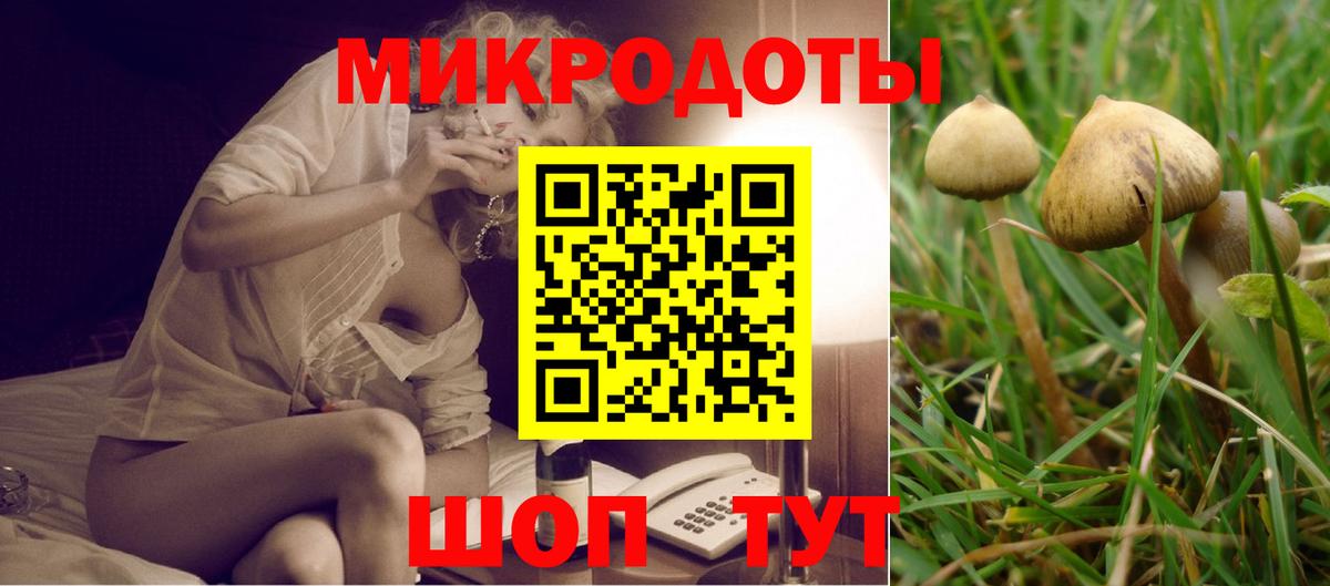 Псилоцибиновые грибы Psilocybine cubensis  Галлюциногенные грибы GOLDEN TEACHER  Рославль  Вход с VPN 